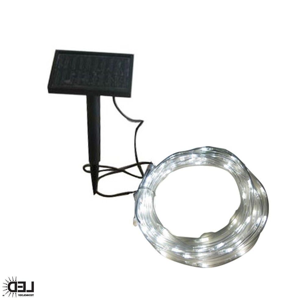 Modern Landscape Lighting At Home Depot With Popular Hampton Bay 16 Ft. Solar Integrated Led Clear Rope Light With Solar (Photo 8 of 20)