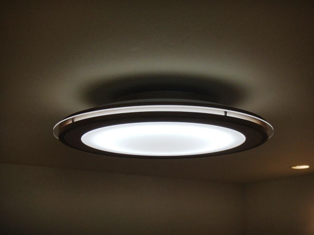 Modern Outdoor Ceiling Lights Throughout Fashionable Home Decor : Modern Flush Mount Ceiling Light Small Japanese Garden (View 19 of 20)