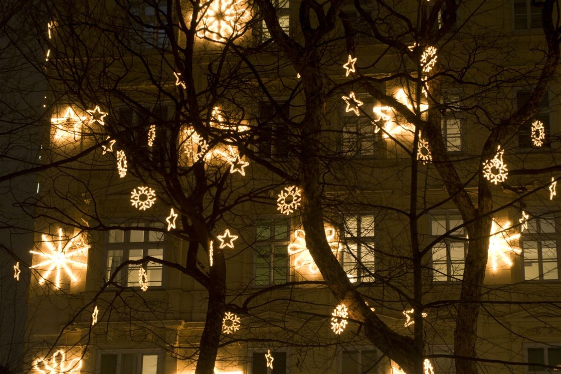 Most Current Hanging Outdoor Lights On Trees With Regard To Lights On Trees – Google Search (View 1 of 20)