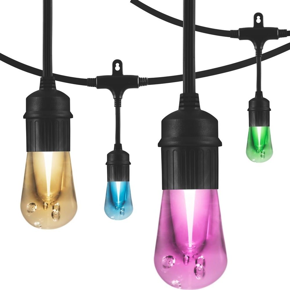 Well Liked Outdoor Hanging String Light Bulbs In Enbrighten 48 Ft (View 13 of 20)