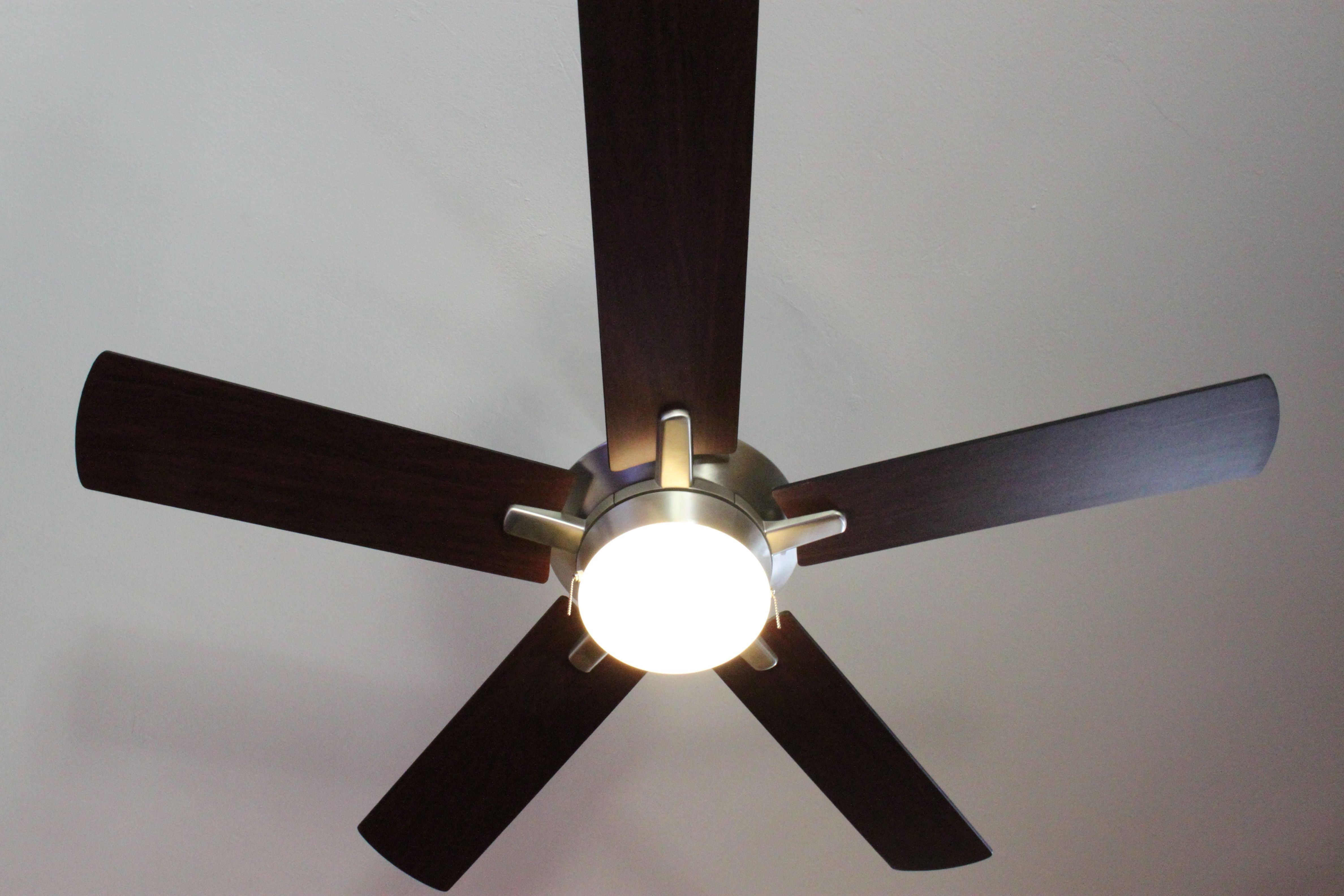 Most Up To Date Outdoor Ceiling Fans With Light Kit For Ideas: Ceiling Fan Globes (View 18 of 20)
