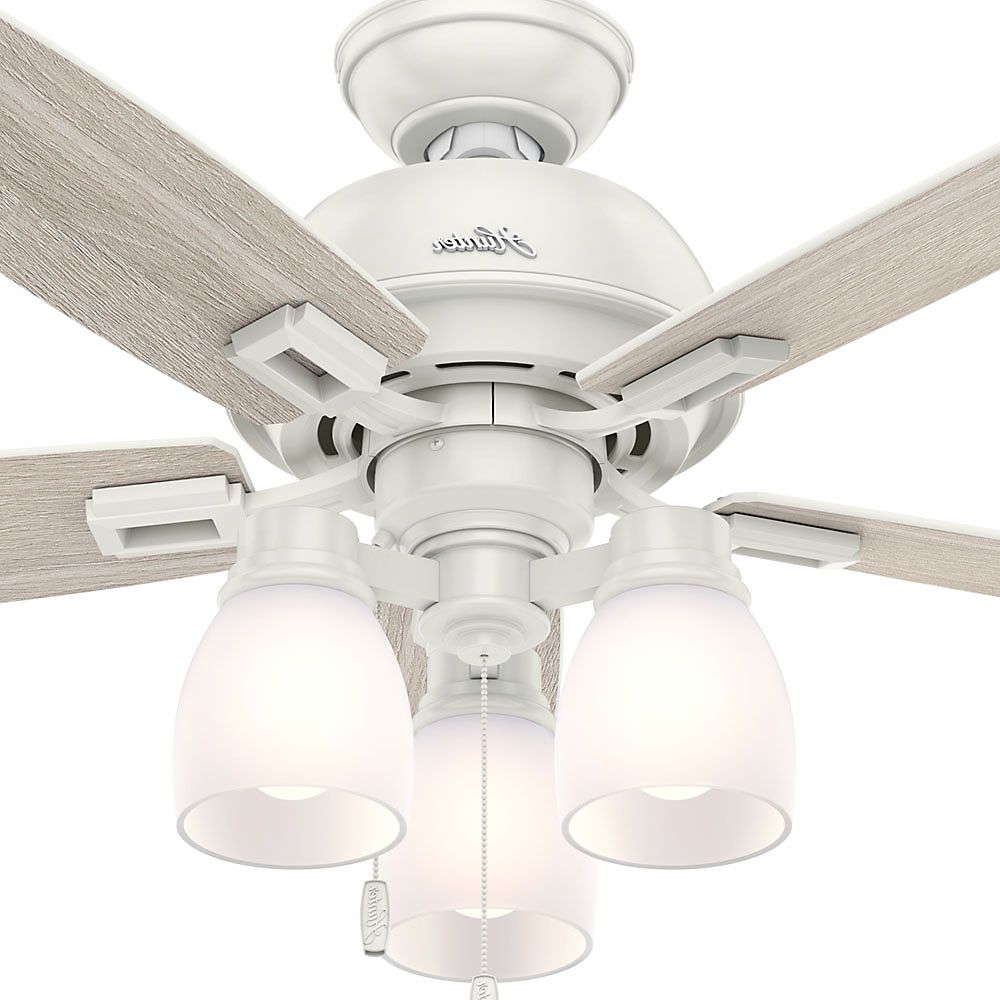 Hunter 44" Donegan Three Light Onyx Bengal Ceiling Fan With Light Regarding Fashionable Donegan 5 Blade Led Ceiling Fans (View 20 of 20)