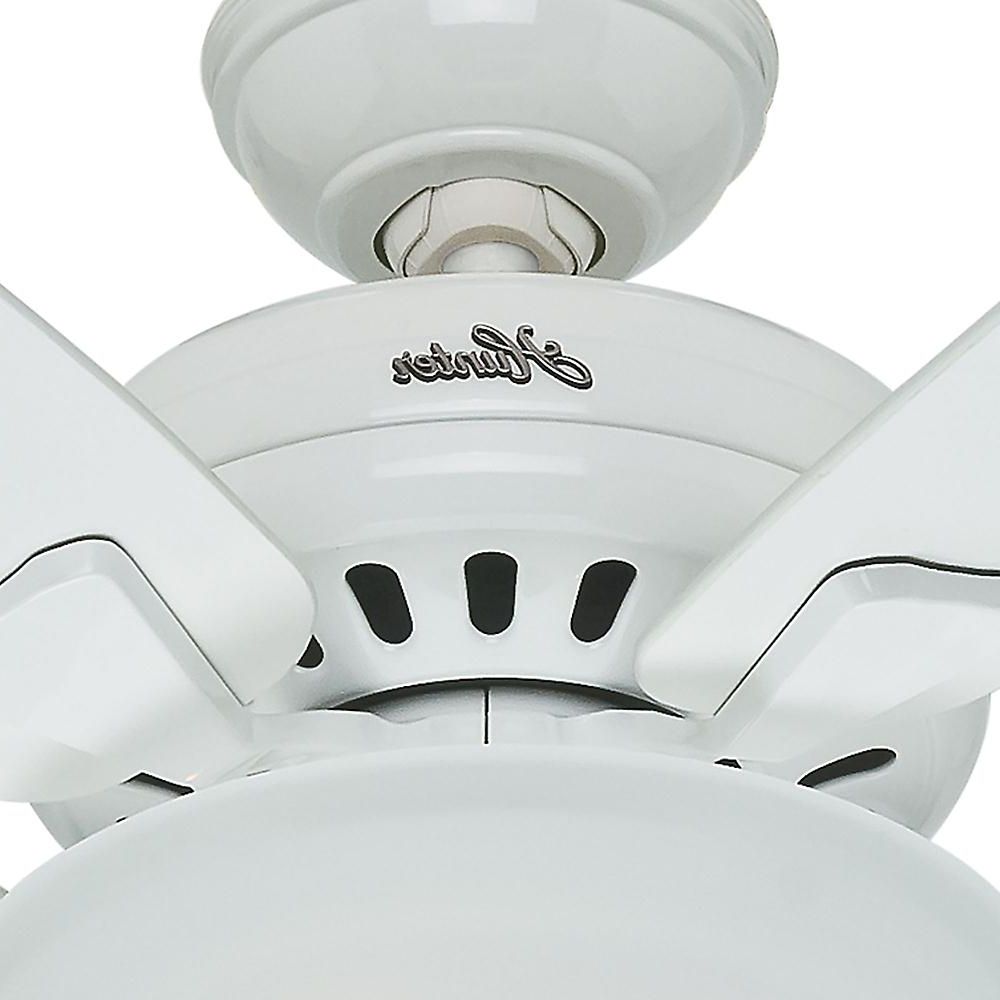 Hunter Banyan 52 In. Indoor White Ceiling Fan With Light With Regard To Well Known Banyan 5 Blade Ceiling Fans (Photo 13 of 20)