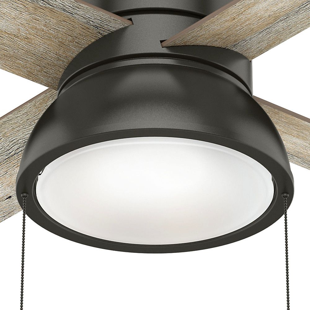 Loki 4 Blade Led Ceiling Fans Throughout Well Known Hunter 59387 36 In (View 19 of 20)