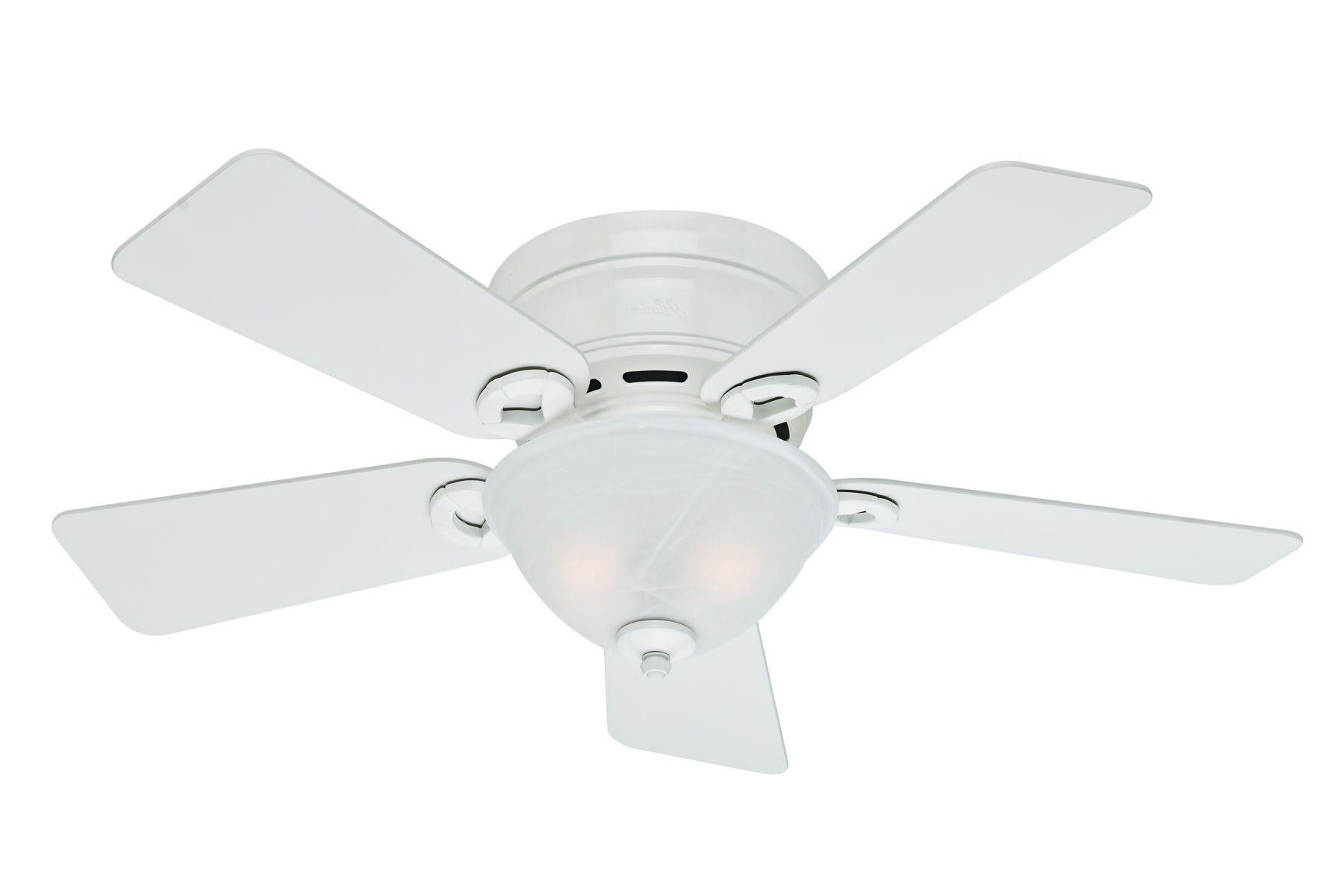 Preferred Conroy 5 Blade Ceiling Fans Within Hunter 42 Inch Conroy Ceiling Fan Model  (View 14 of 20)