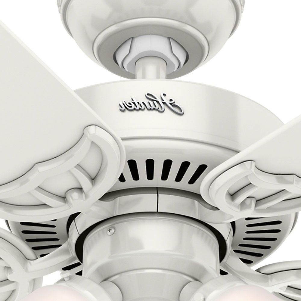 Southern Breeze 5 Blade Ceiling Fans Throughout Fashionable Hunter Fan 42 Inch Southern Breeze Ceiling Fan (View 11 of 20)