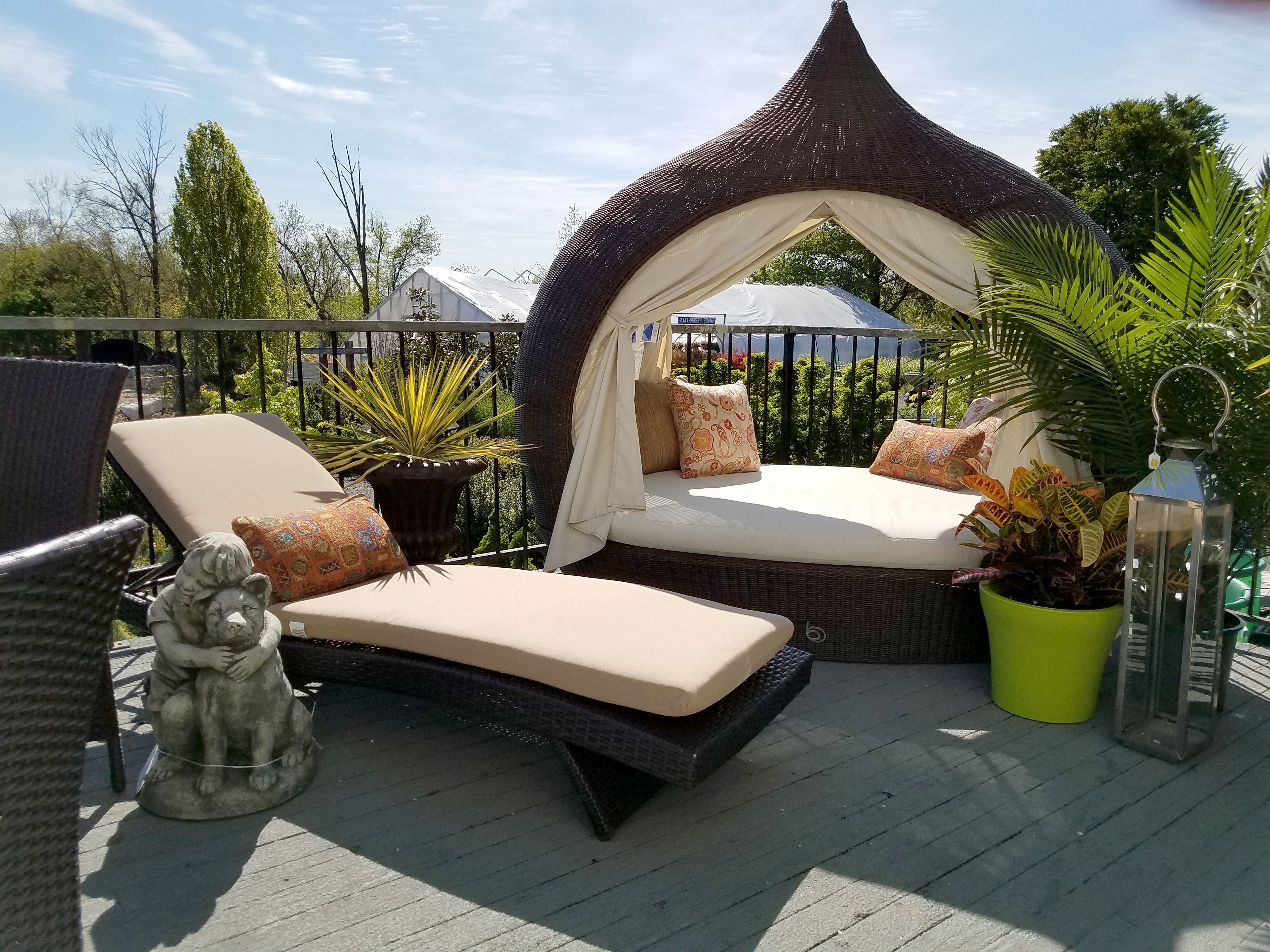 Outdoor And Patio Furniture – Down To Earth Living For Famous Outdoor Living Pomona Sunloungers (View 16 of 25)