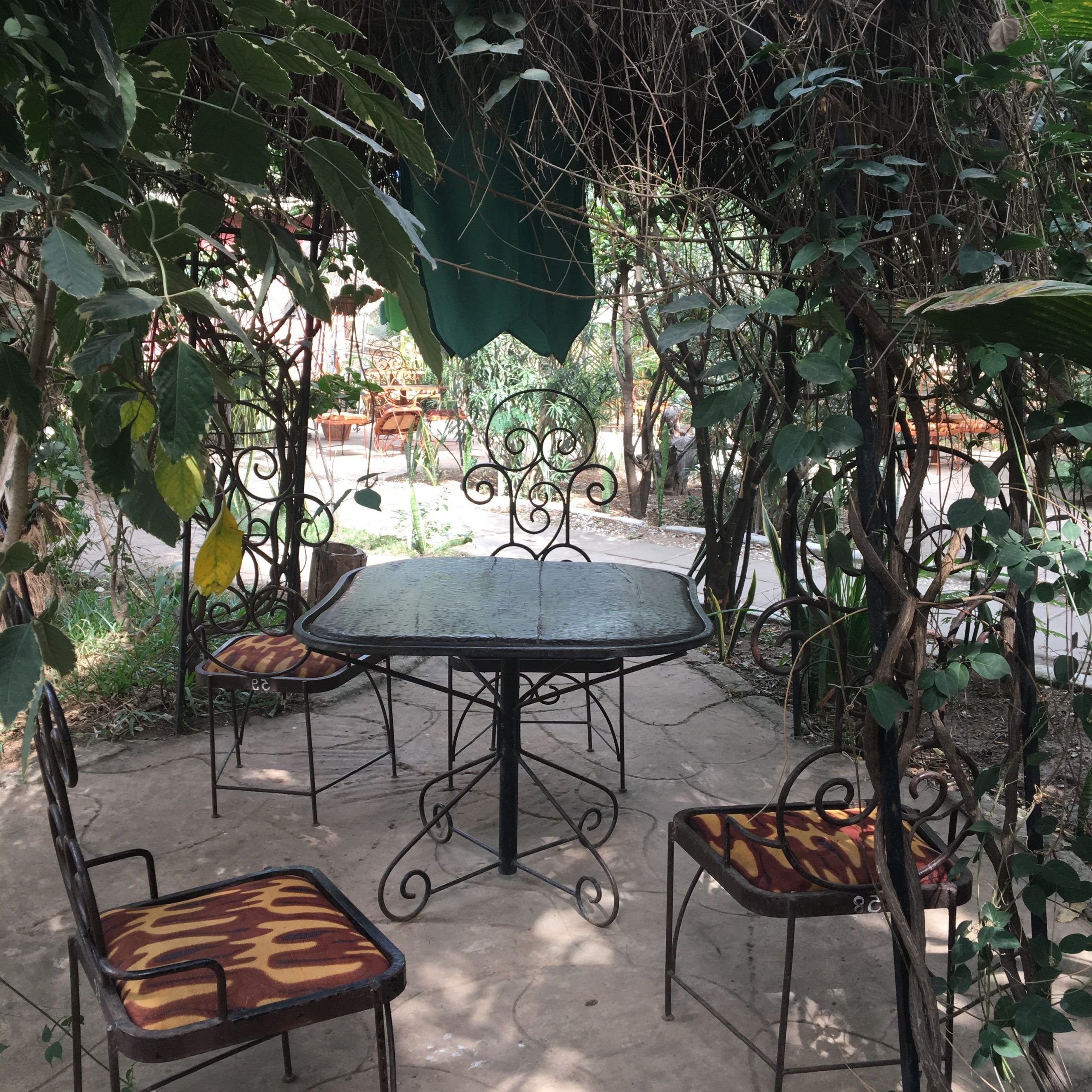 Green Outdoor Seating Patio Sets With Regard To Widely Used Seating At Green Mamba Garden (View 13 of 15)