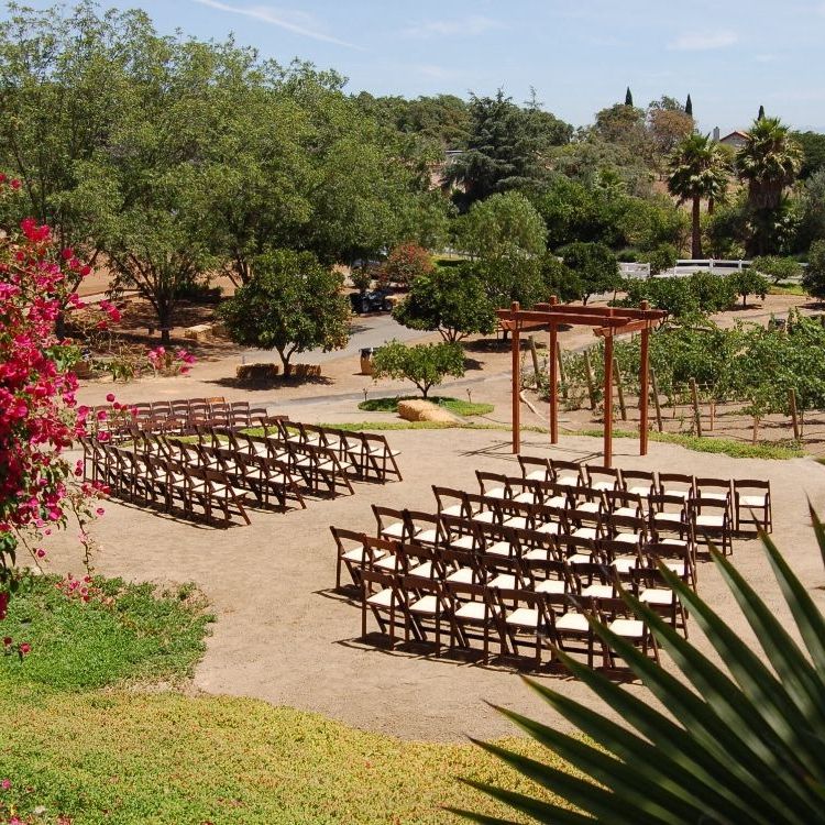 Pineapple Natural Wood Outdoor Folding Tables With Regard To Well Known Rustic Event Rentals San Diego, Ca (View 13 of 15)
