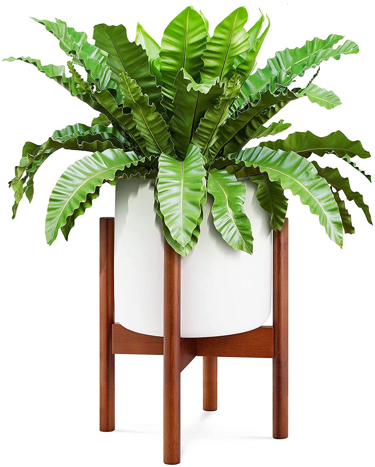 14" Mid Century Modern Large Planter With Stand, Elevated Plant Stand With  Pot Included, 10 Inch White Plant Pot, 14 Inch Tall Bamboo Plant Holder For  Indoor Snake Plants Flowers, Wood & Within Trendy 10 Inch Plant Stands (View 1 of 15)