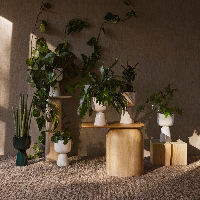 15 Best Indoor Plant Stands That Seriously Stand Out (View 5 of 15)