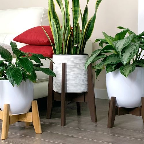 Adjustable Plant Stand With Pot 10 Inch Porcelain Ceramic – Etsy Inside 2019 10 Inch Plant Stands (View 3 of 15)