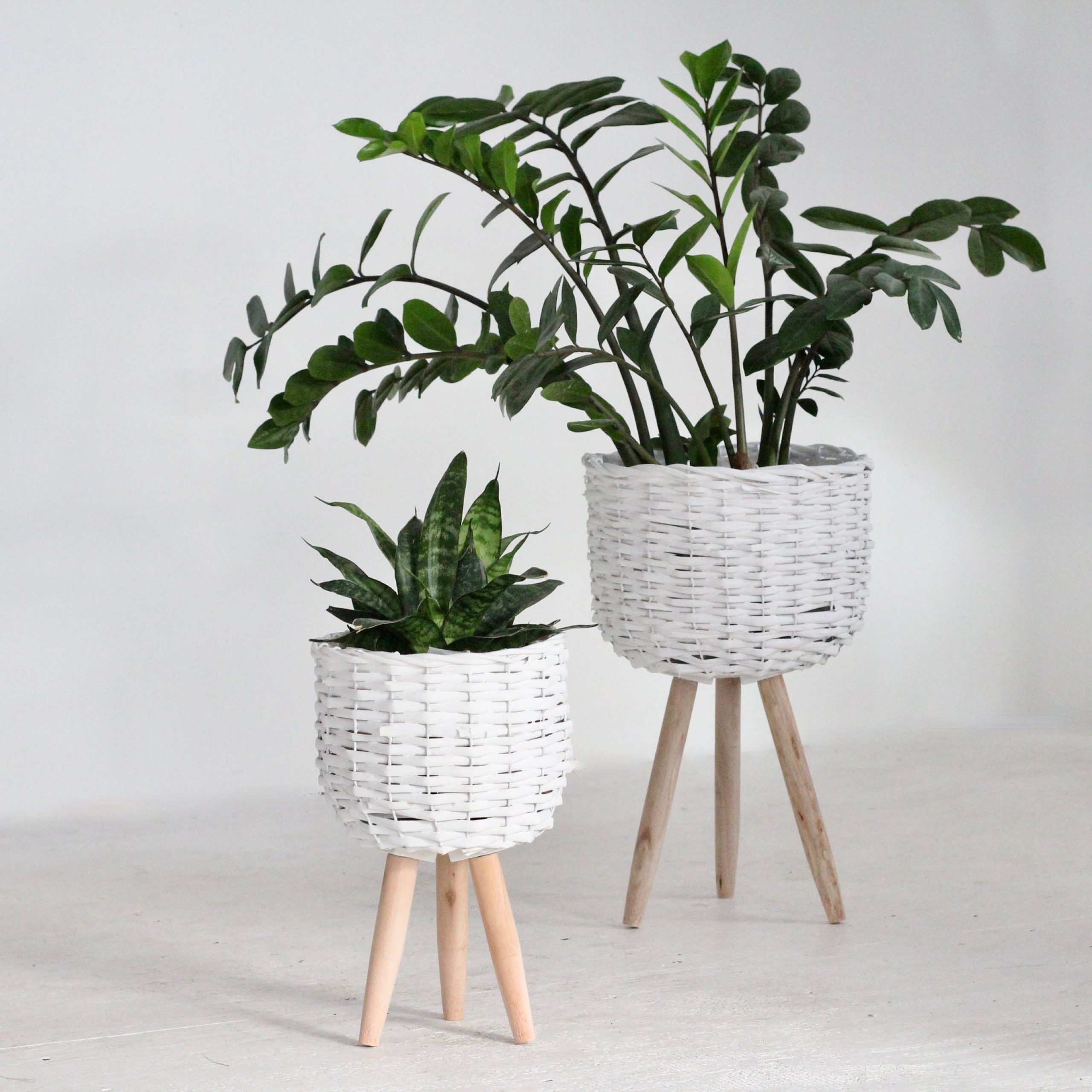 Ancient Grey Plant Stands Intended For 2019 Gray Plant Stand – Etsy (View 8 of 15)