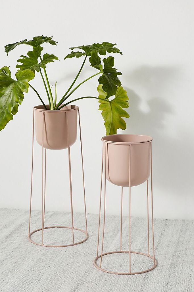 Architectural Digest Intended For Modern Plant Stands (View 4 of 15)