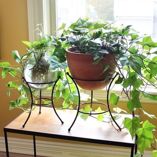 Ball Plant Stands With Regard To Preferred Set Of Two Ball End Wrought Iron Plant Stands Indoor/outdoor – Etsy (View 3 of 15)