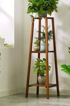 Best And Newest Medium Plant Stands Intended For 39 Best Plant Stands  (View 1 of 15)