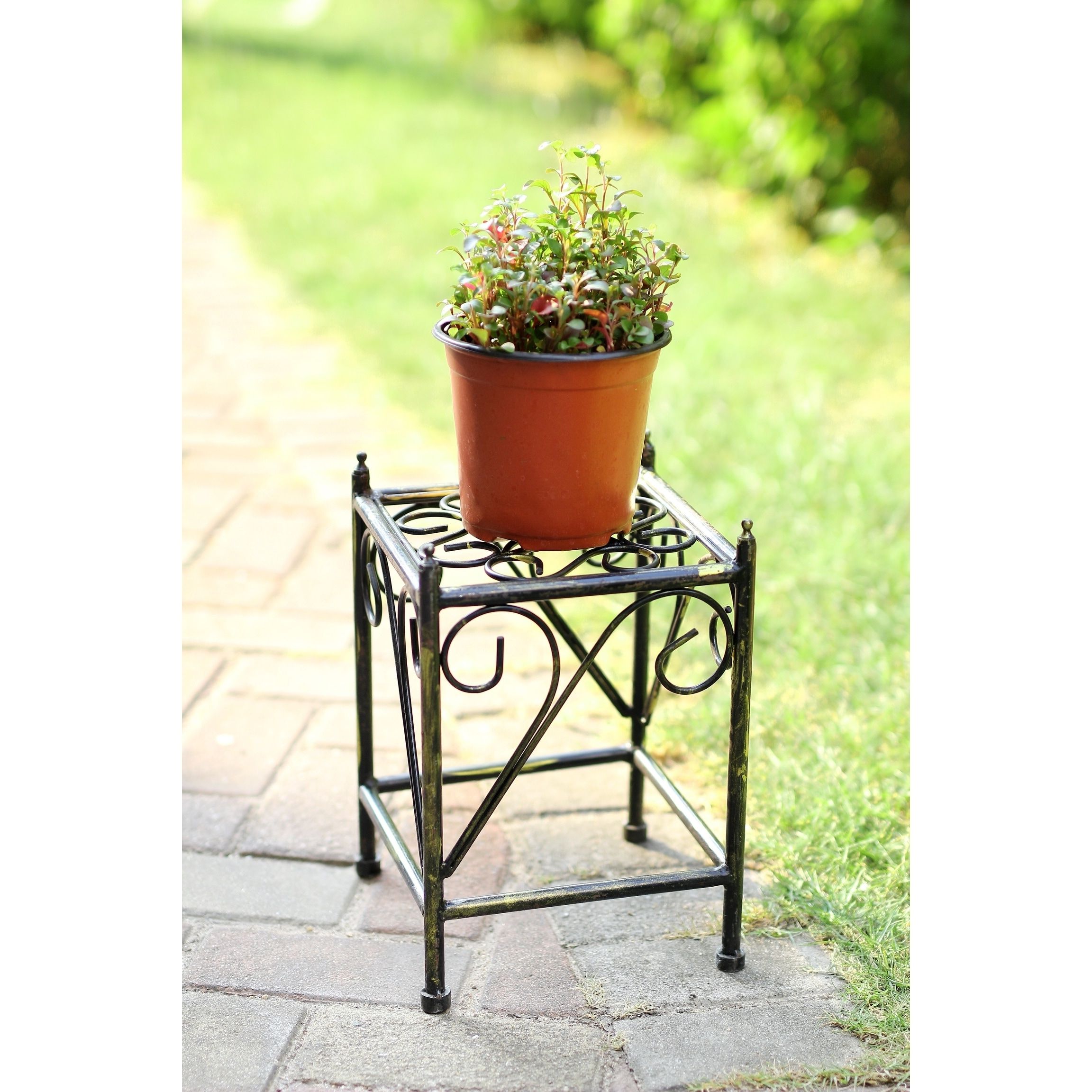 Bronze Small Plant Stands Inside Famous 13 In Small Lattice Square Cast Iron Plant Stand – On Sale – Overstock –   (View 13 of 15)