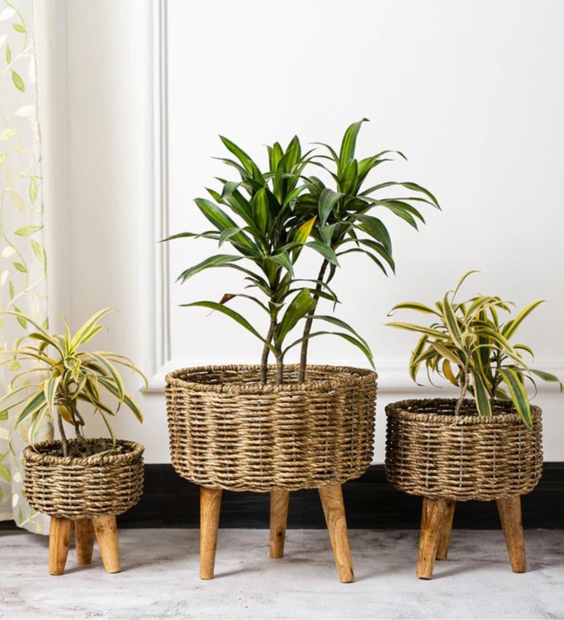 Buy Brown Metal Planter Stand With Jute Rope And Wooden Legs, Set Of 3 Foliyaj Online – Metal Planter Stands – Pots & Planters – Home Decor –  Pepperfry Product With Regard To Favorite Brown Metal Plant Stands (View 3 of 15)