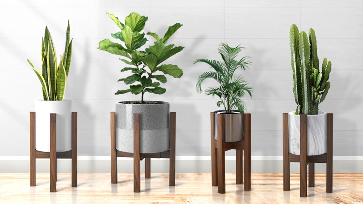 Current Pedestal Plant Stands In The 8 Best Plant Stands For Every Style (View 14 of 15)