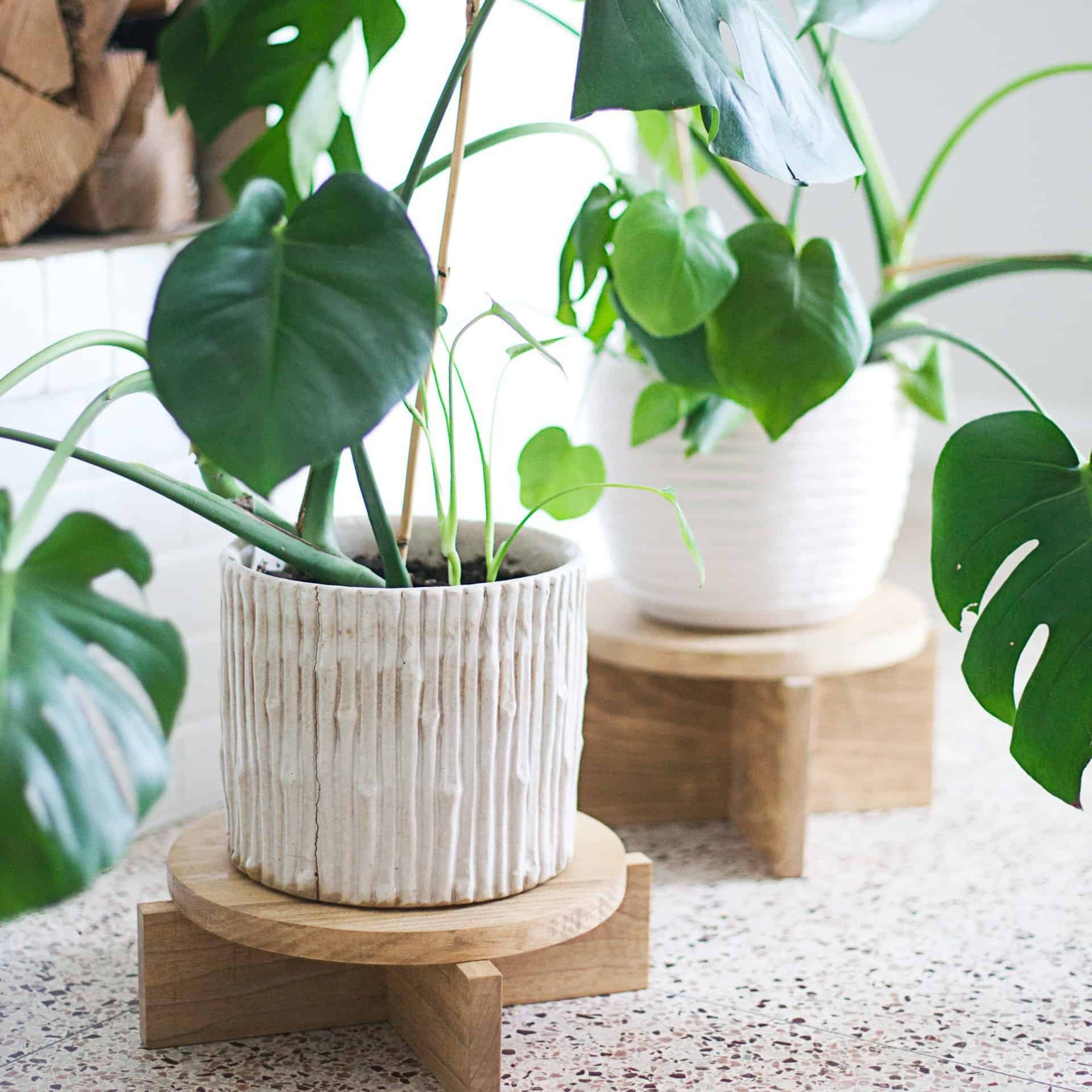 Diy Modern Wood Plant Stands – A Beautiful Mess With Regard To Preferred Wood Plant Stands (View 12 of 15)