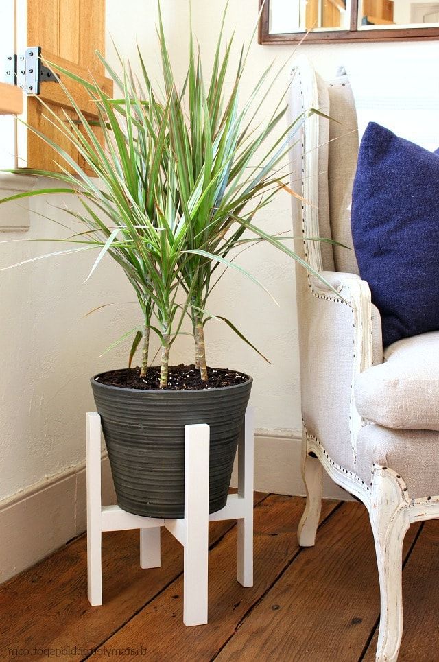 Diy Plant Stand With Free Plans – Jaime Costiglio With Famous Painted Wood Plant Stands (View 8 of 15)