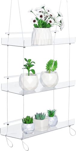 Ebay In 2020 Clear Plant Stands (View 12 of 15)