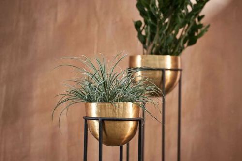 Famous Antique Brass Gold Bowl Planter On Stand, Indoor Metal Plant Pot, Nkuku  Atsu (View 15 of 15)