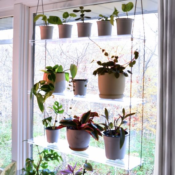 Famous Clear Plant Stands Regarding Clear Acrylic Window Plant Shelf Hanging Plant Shelf Indoor – Etsy (View 2 of 15)