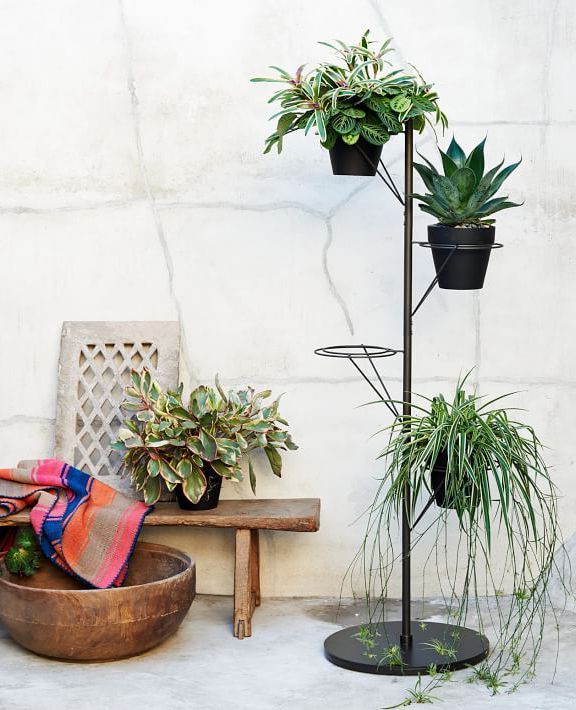 Famous Prism Plant Stands For Prism Plant Stand (View 4 of 15)
