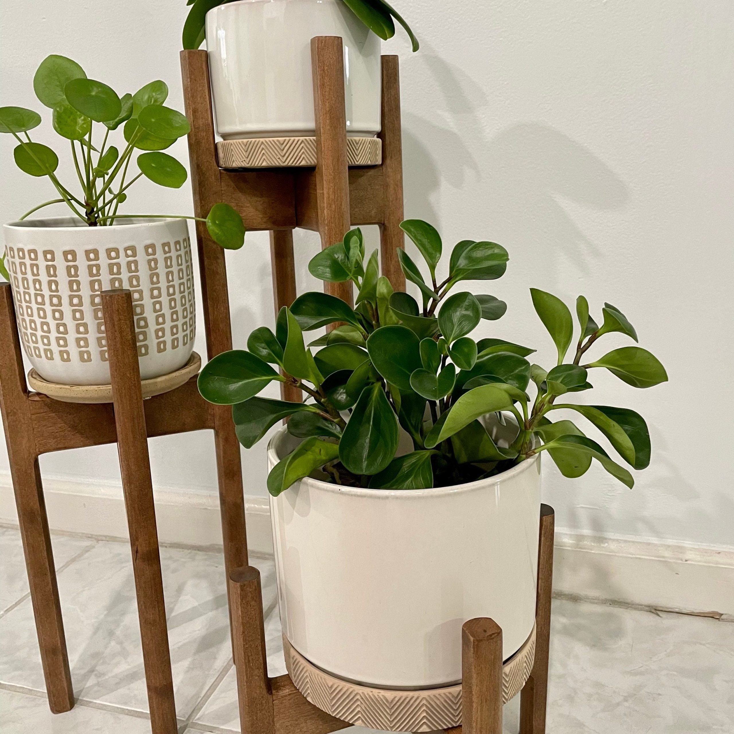Famous Three Tiered Plant Stand Hand Made Wabi Sabi Style Plant – Etsy Canada In Three Tier Plant Stands (View 10 of 15)