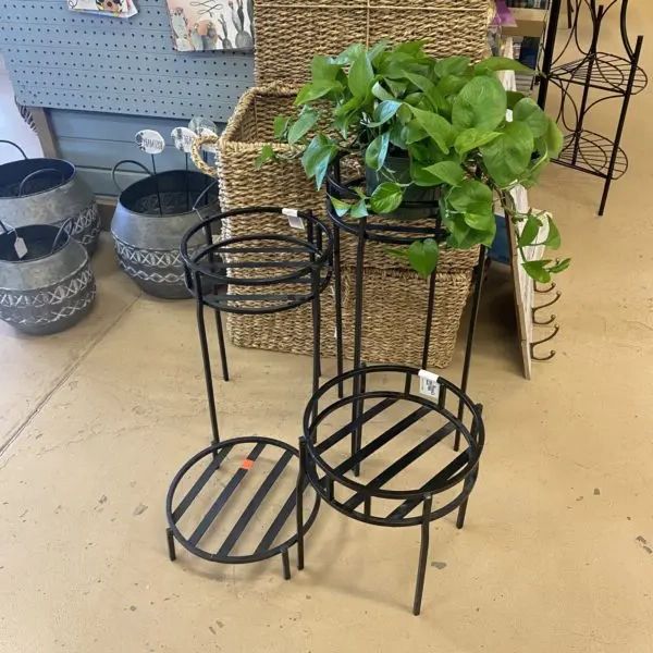 Favorite Metal Plant Stands In Modern Metal Plant Stand – Various Sizes › Anything Grows (View 12 of 15)