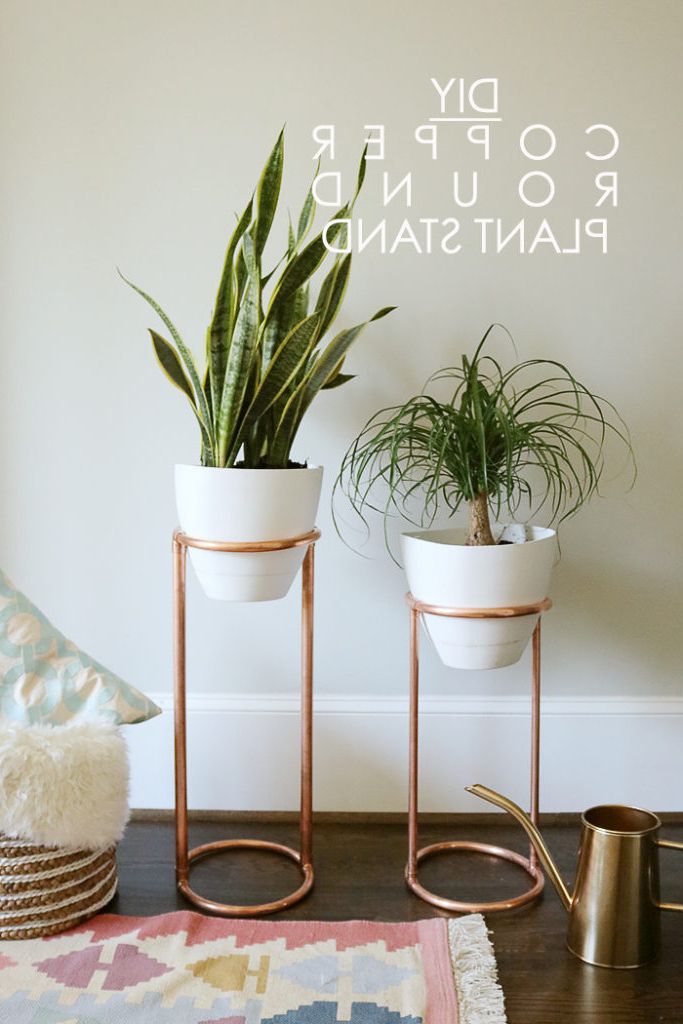 Favorite Round Plant Stands In Diy Copper Round Plant Stand – Darling Darleen (View 4 of 15)