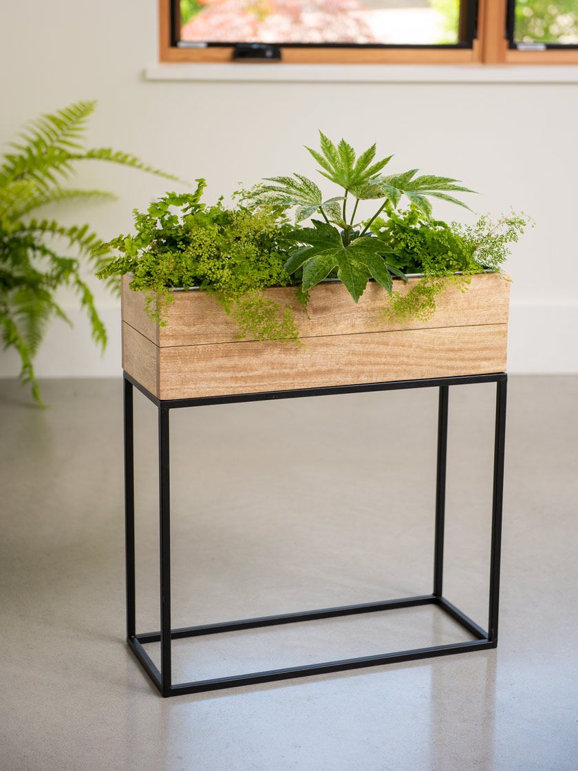 Gardener's Supply Within Rectangular Plant Stands (View 2 of 15)