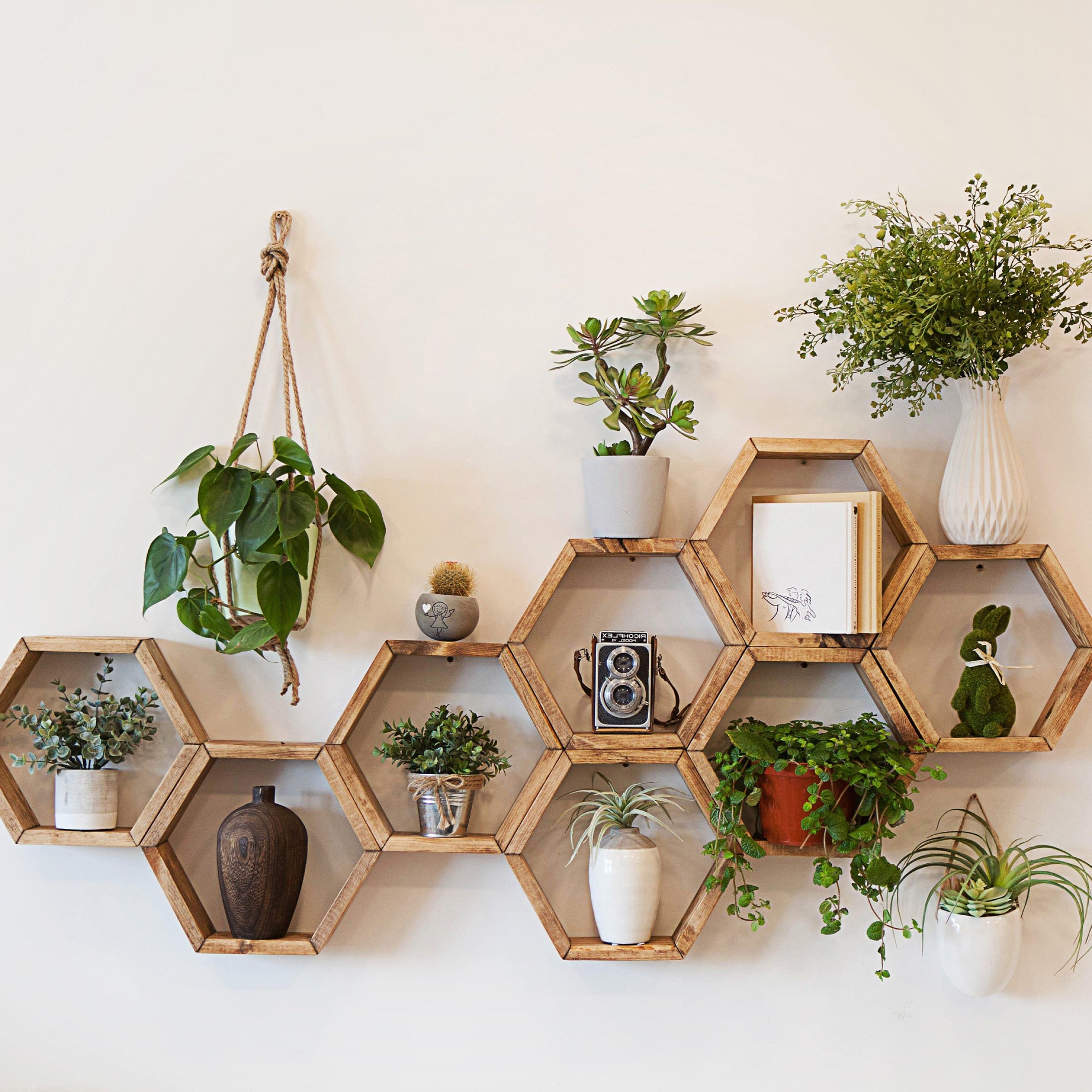 Hexagon Plant Shelf – Etsy Pertaining To Most Popular Hexagon Plant Stands (View 10 of 15)