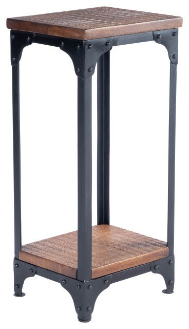 Houzz Pertaining To Preferred Industrial Plant Stands (View 2 of 15)