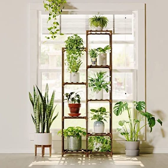 Indoor Plant Stands – Ideas On Foter Throughout Well Known Green Plant Stands (View 3 of 15)
