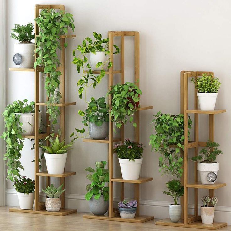 Indoor Plant Stands Intended For Most Popular 10 Amazing Indoor Plant Stand Ideas For Every Type Of Home – Paisley &  Sparrow (View 7 of 15)