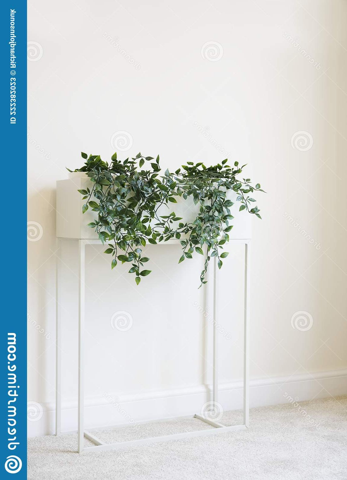 Ivy Green Plant In White Plant Stand And Neutral Decor Home Stock Image –  Image Of Wall, Exotic: 222382023 With Regard To Current Ivory Plant Stands (View 11 of 15)