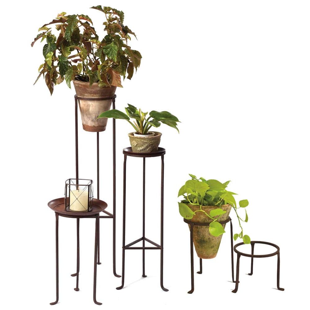 Latest Wrought Iron Plant Stands Intended For Iron Plant Stands – 8" Diameter – Campo De' Fiori – Naturally Mossed Terra  Cotta Planters, Carved Stone, Forged Iron, Cast Bronze, Distinctive  Lighting, Zinc And More For Your Home And Garden (View 2 of 15)