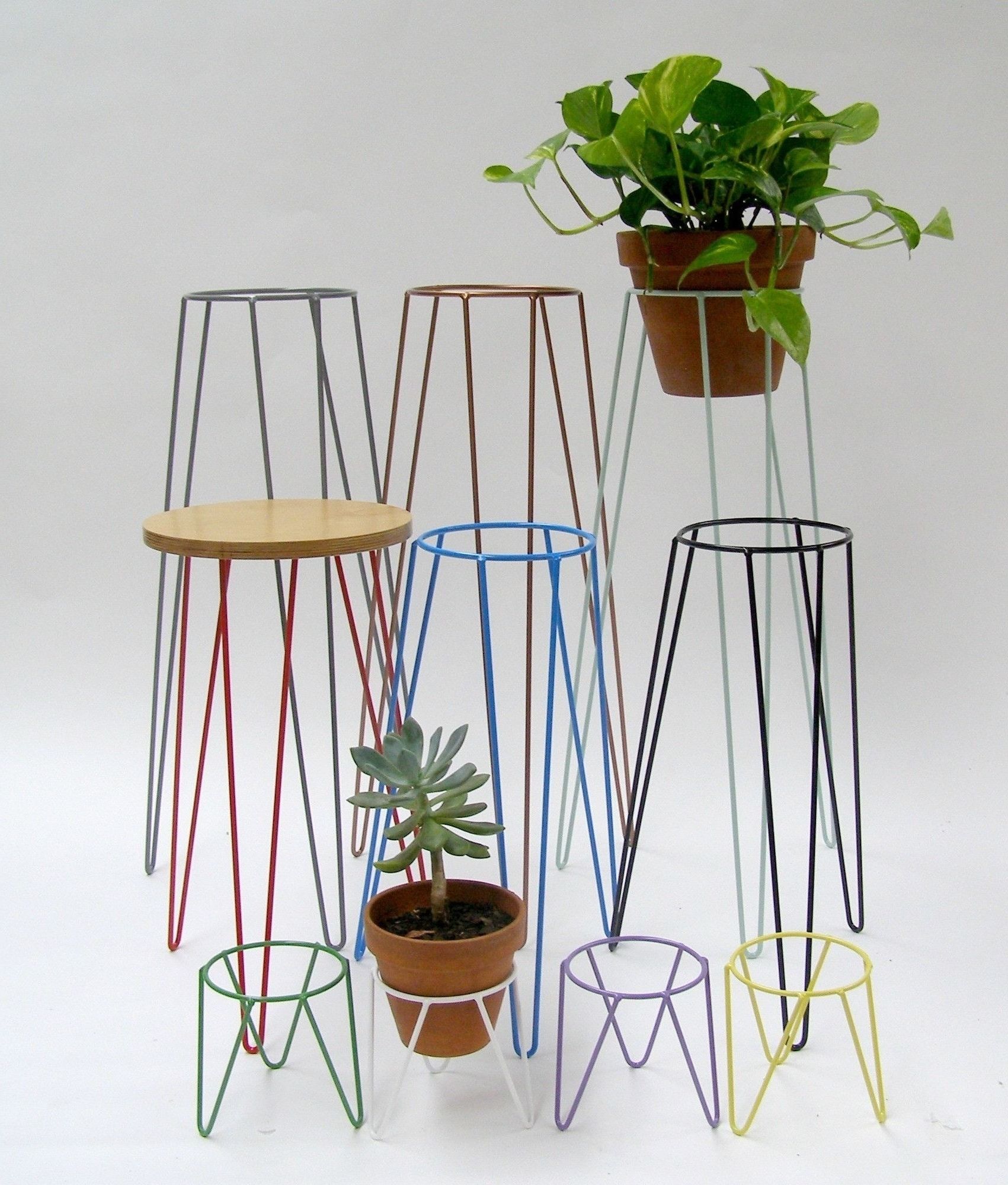 Metal Plant Stands In Latest Metal Plant Stand – Ideas On Foter (View 10 of 15)