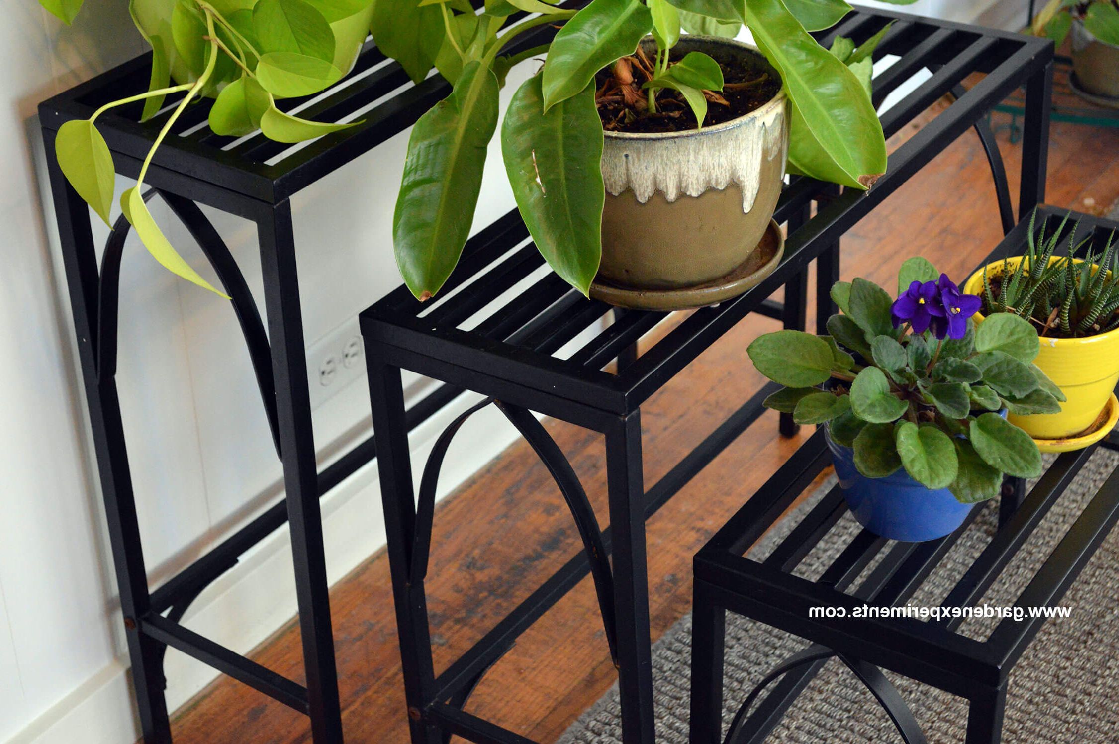Metal Plant Stands Regarding Popular Sturdy Metal Plant Stand Holds 12 Plants (View 4 of 15)