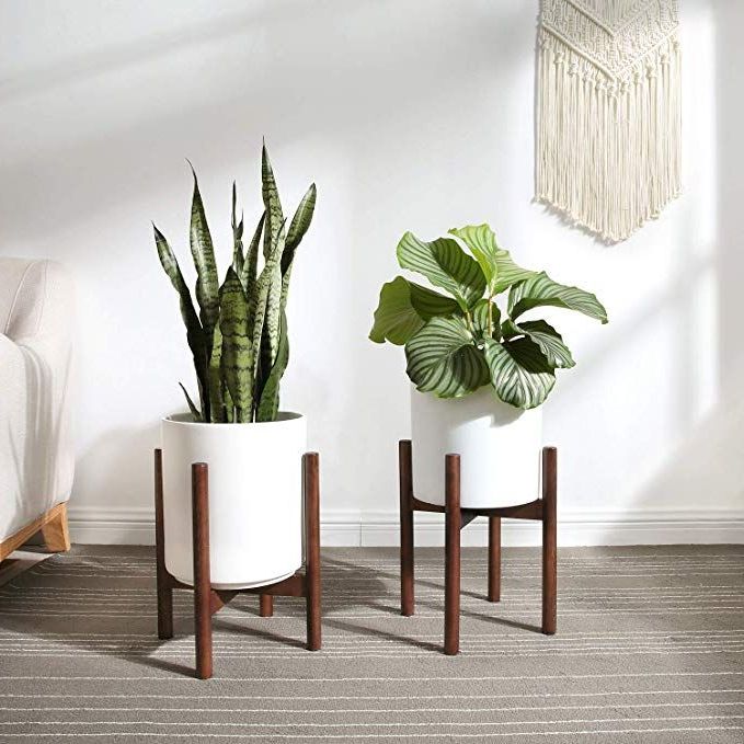 Modern Plant Stand, Mid (View 5 of 15)