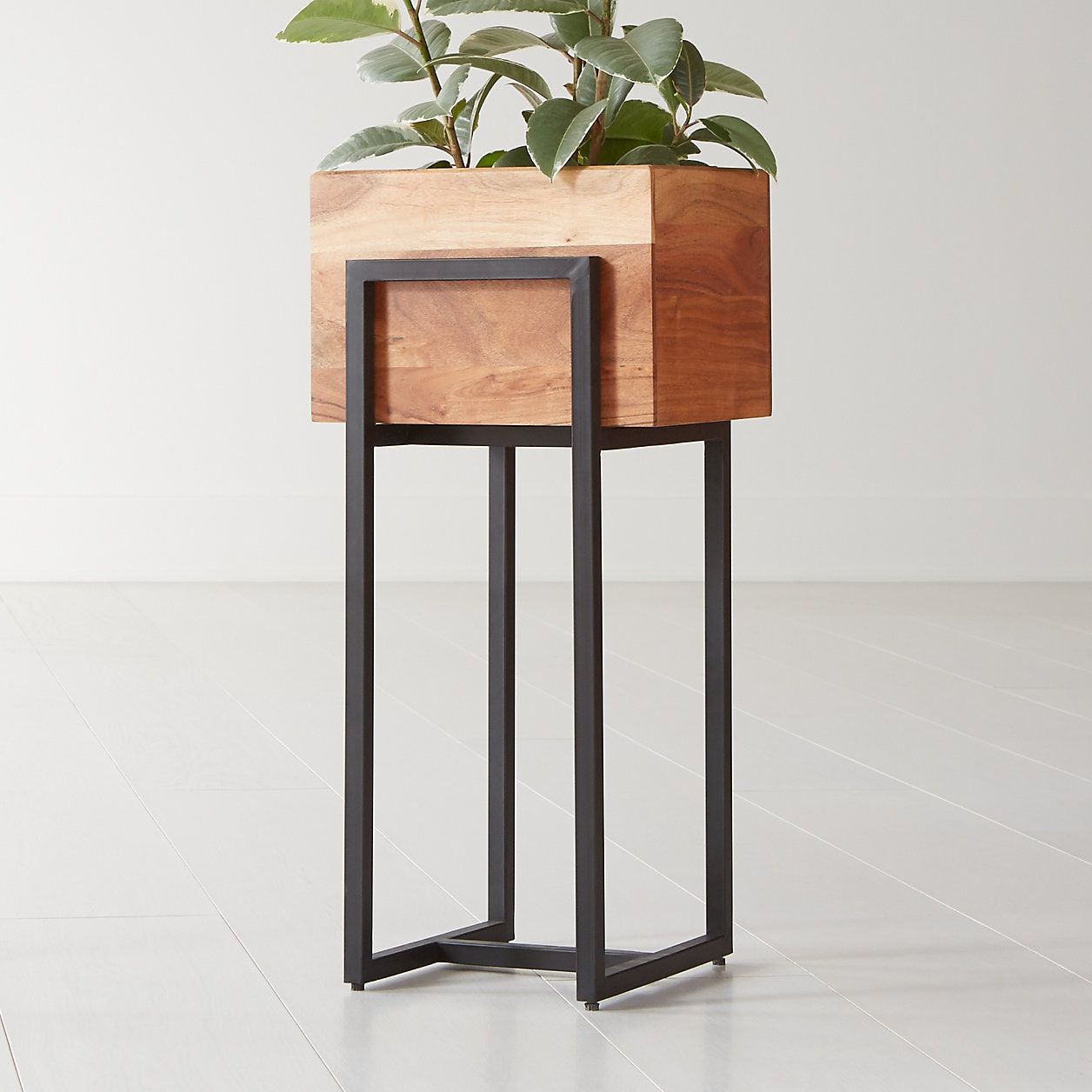 Modern Plant Stands Within Popular 15 Best Indoor Plant Stands That Seriously Stand Out (View 11 of 15)