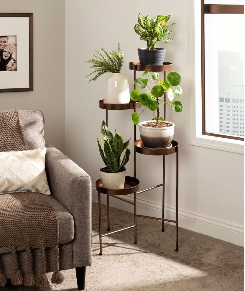 Most Current Bronze Small Plant Stands With Corner Plant Stands Indoor – Ideas On Foter (View 11 of 15)