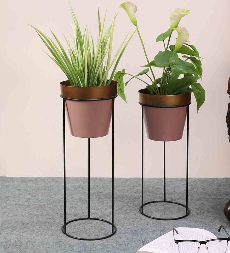 Most Current Buy Pink Metal Floor Planterspristine Interiors Online – Floor Planters  – Pots & Planters – Home Decor – Pepperfry Product Pertaining To Prism Plant Stands (View 14 of 15)