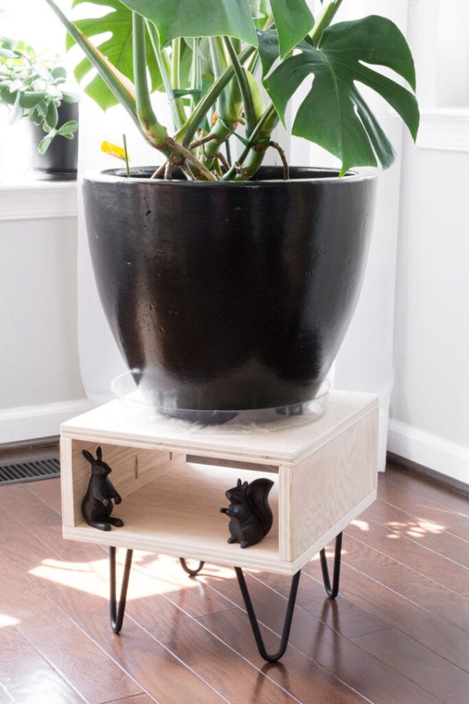 Most Current Diy Plant Stand: Make This Easy Project For Your Plants Intended For Plant Stands With Flower Bowl (View 6 of 15)