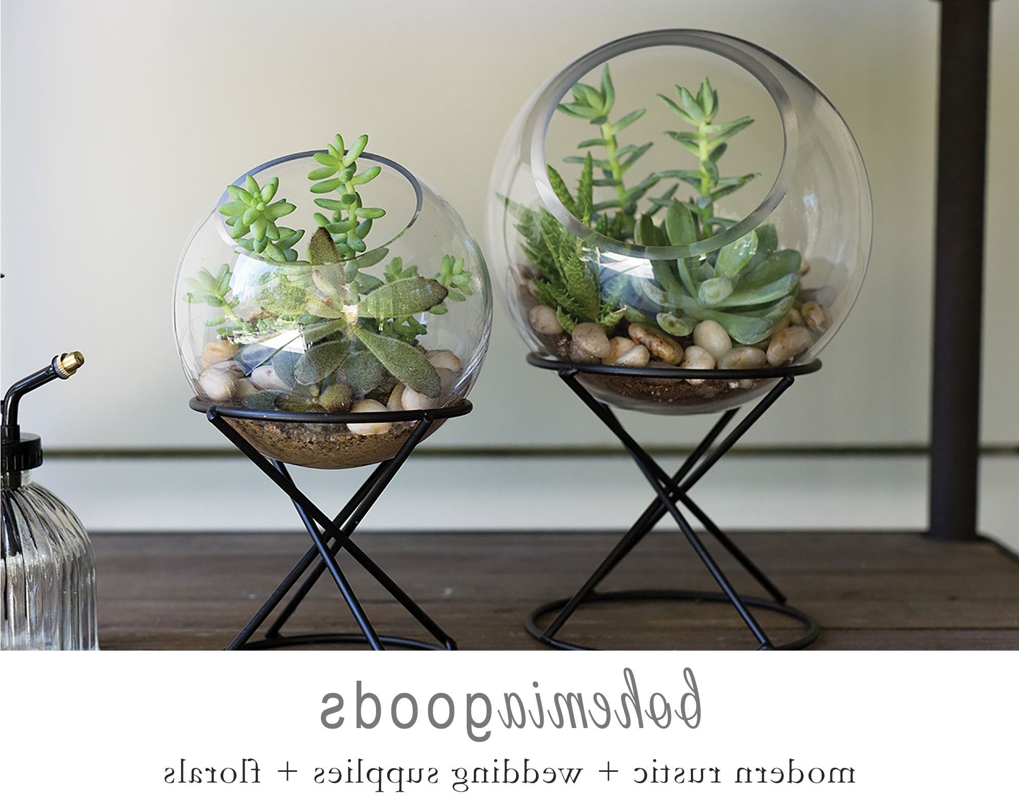 Most Current Globe Plant Stands Intended For Globe Glass Terrarium Indoor Planters Terrarium Centerpiece – Etsy (View 6 of 15)