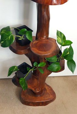 Most Recent Rustic Plant Stands Pertaining To Rustic Wooden Five Way Plant Stand For Sale At Pamono (View 15 of 15)