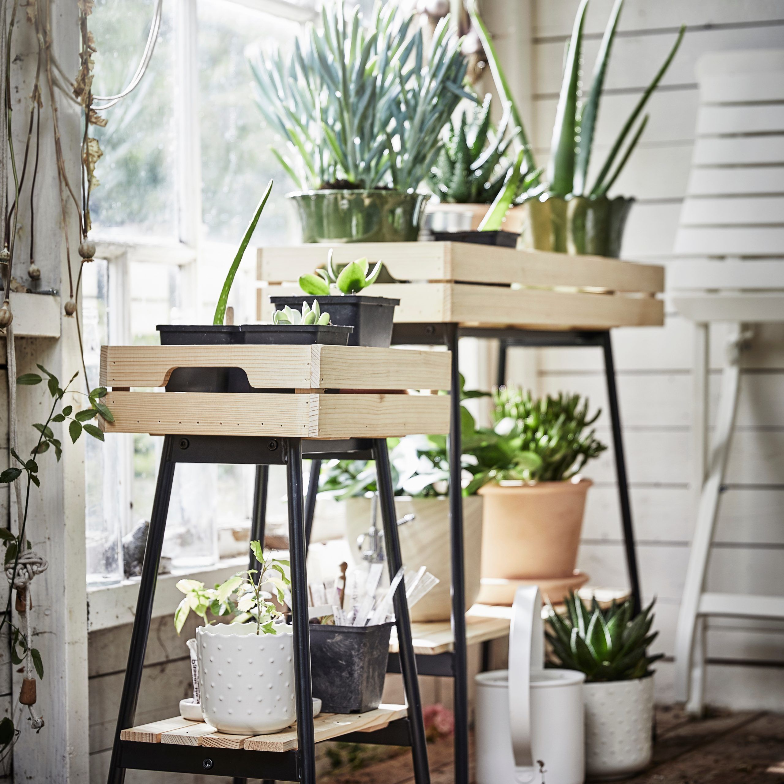 Most Recently Released Green Plant Stands Throughout A Sturdy Plant Stand For Your Green Companions – Ikea (View 2 of 15)