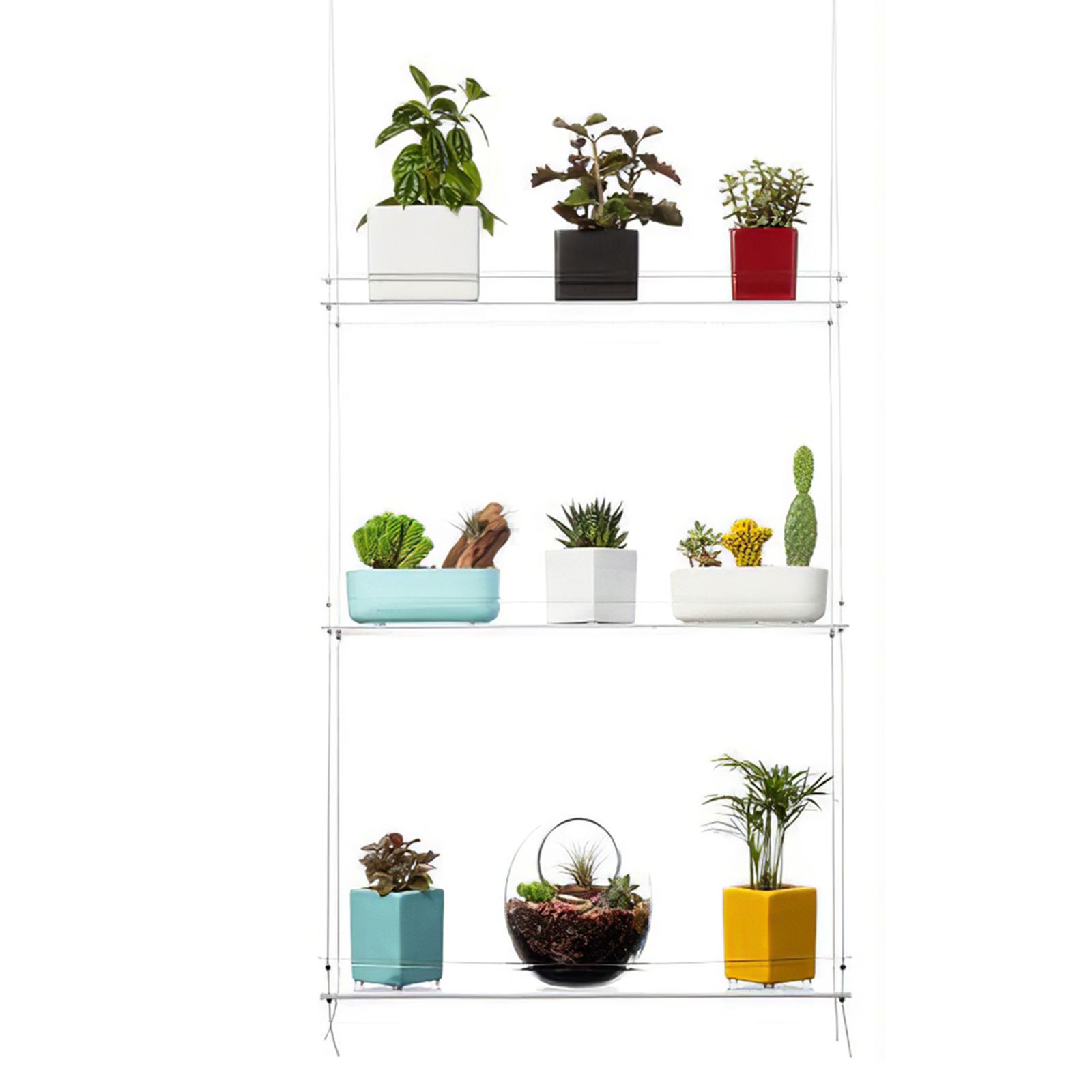 Newest Acrylic Plant Stands Within Transparent Commodity Shelf Multi Layer Plant Shelf Acrylic Hanging Bracket  Elegant Plant Stand Beautiful Hanging Shelf For Plant Pots Flower Pots  Window Living Room Bedroom – Walmart (View 13 of 15)